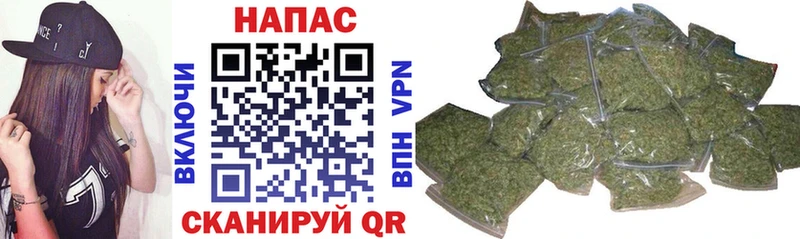 Бошки Шишки тримм  где продают   МЕГА ССЫЛКА  Новодвинск 